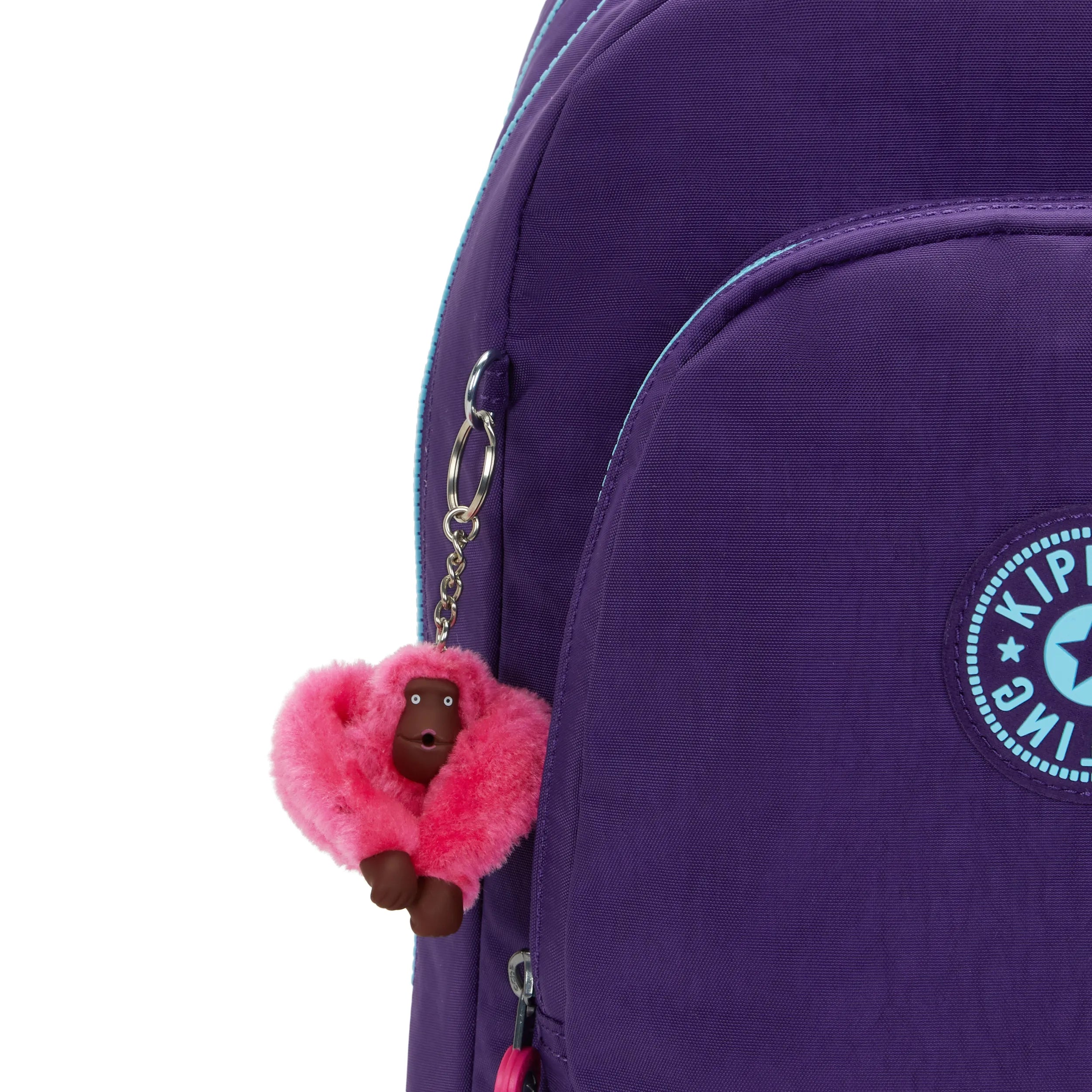 Classroom 17 Laptop Backpack - Image 5