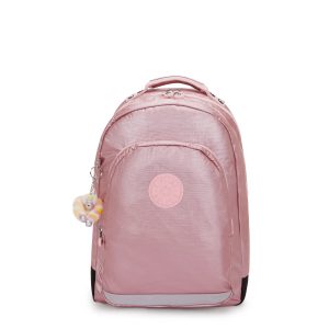 Classroom 17 Metallic Laptop Backpack