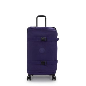 Spontaneous Medium Rolling Luggage