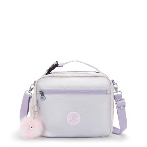 Ermy Metallic Lunch Bag